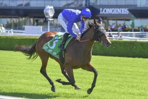 Colette, above, is the new favourite for the 2020 Australian Oaks after winning the Adrian Knox Stakes at Randwick. Photo by Steve Hart.