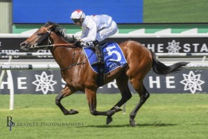 Doubtland, above, scores a runaway win in the 2020 Kindergrten Stakes at Randwuick. Photo by Steve Hart.