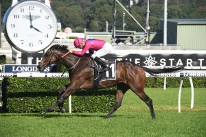 Angel Of Truth, above, will be set for the 2019 Caulfield Cup at Caulfield.  Photo by Steve Hart.