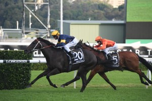 Brutal, above, winning the 2019 Doncaster Mile at Randwick. Photo by Steve Hart.