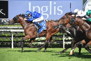 Microphone, above, storms home along the inside to win the 2019 Inglis Sires' at Randwick. Photo by Steve Hart.