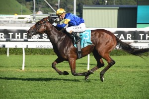 Santa Ana Lane, above, is the early favourite for the 2019 The Everest at Randwick. Photo by Steve Hart.