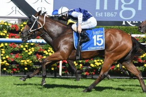 El Dorado Dreaming, above, is among the nominations for the 2019 The Gong at Kembla Grange.