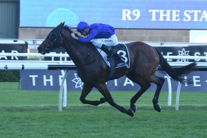 Happy Clapper, above, is among the nominations for the 2019 Doncaster Mile at Randwick. Photo by Steve Hart. 
