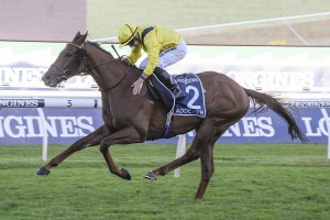 Addeybb, above, strides out to win the 2020 Queen Elizabeth Stakes at Randwick. Photo by Steve Hart.