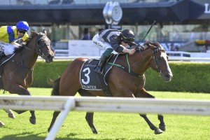 Splintex, above, scores a narrow win in the Arrowfield 3yo Sprint at Randwick. Photo by Steve Hart.