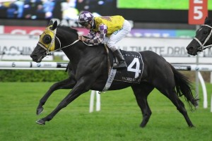 Zac Purton, above, will ride Red Verdon in the 2018 Caulfield Cup at Caulfield. Photo by Steve Hart.