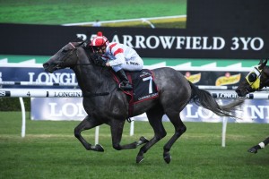 Classique Legend, above, scores a dominant win in the 2019 Arrowfield 3yo Sprint at Randwick. Photo by Steve Hart.