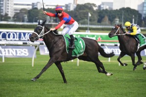 Verry Elleegant, above, is set to resume in the Winx Stakes at Randwick. Photo by Steve Hart.