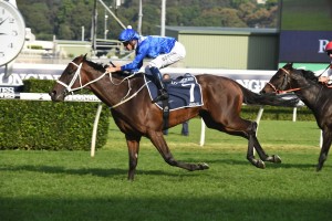 Winx, above, will be be served by champion stallion I Am Invincible in her first visit to the breeding barn this year. Photo by Steve Hart.