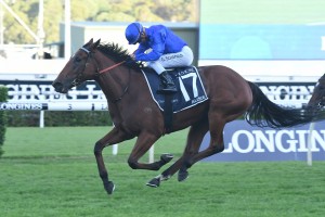 Alizee, above, will have her next run in the 2019 Futurity Stakes at Caulfield. Photo by Steve Hart.