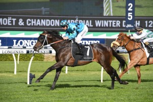 Sesar, above, is the favourite for the 2019 Bletchingly Stakes at Caulfield. Photo bySteve Hart.  