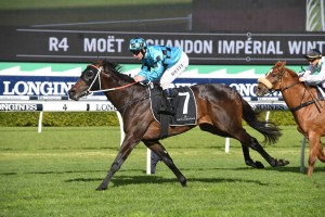 Sesar, above, was a well beaten favourite in the Bletchingly Stakes at Caulfield. Photo by Steve Hart.