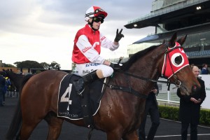 Southern Lad, above, is one of the top fancies for the 2020 Ramornie Handicap at Grafton. Photo by Steve Hart.