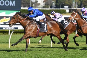 Roheryn, above, returned to winning form in the 2020 Show County Quality at Randwick. Photo by Steve Hart.