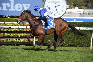 Libertini, above, is among the nominations for the 2019 Flight Stakes at Randwick. Photo by Steve Hart.  