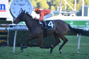 Dreamforce, above, raced into Epsom Handicap contention with an all the way win in the Tramway Stakes at Randwick. Photo by Steve Hart.  