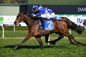 Libertini, above, scores a narrow win in the Furious Staikes at Randwick. Photo by Steve Hart.
