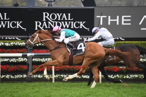 Finche, above, is joined by stablemate Youngstar in the 2019 Melbourne Cup at Flemington. Photo by Steve Hart.
