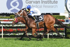 Kolding, above, arrives in time to win the Bill Ritchie Handicap at Randwick. Photo by Steve Hart.