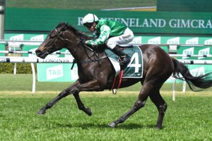 Catch Me, above, has drawn a wide barrier in the Fillies 2019 Blue Diamond Preview at Caulfield. Photo by Steve Hart.