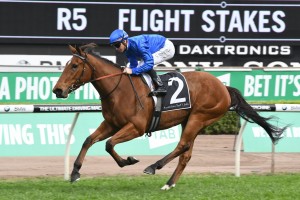 Alizee, above, is the odds on favourite for the 2019 Missile Stakes at Rosehill. Photo by Steve Hart.
