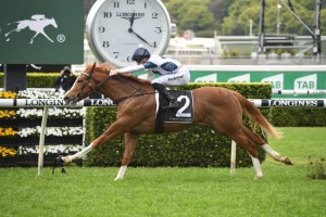Every Rose, above, is the favourite for the 2019 Wyong 2yo Classic at Wyong. Photo by Steve Hart.