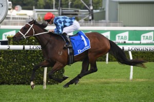 Funstar, above, is the favourite for the 2020 Vinery Stud STakes at Rosehill. Photo by Steve Hart. 
