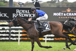 Shadow Hero, above, wins the 2019 Spring Champion Stakes at Randwick. Photo by Steve Hart.