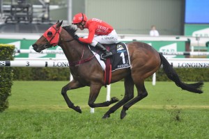 Redzel, above, will kick off his third Everest campaign in the Concorde Stakes at Randwick. Photo by Steve Hart.