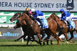 Deprive.above, in blue colours with white cap, kept his perfect Randwick record intact with a win in the Sydney Stakes. Photo by Steve Hart.  