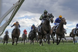Yes Yes Yes, above, is the winner of The Everest 2019. Photo by Steve Hart.