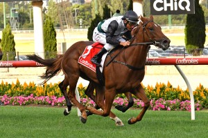 Lankan Star, above, has been passed fit to take her place in the 2019 Golden Slipper at Rosehill. Photo by Ultimate Racing Photos.