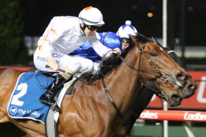Loving Gaby, above, scores a stunning win in the 2019 Scarborough Stakes at The Valley. Photo by Ultimate Racing Photos.