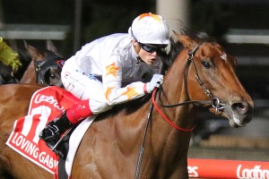 Loving Gaby, above, beats the older sprinters in the 2019 Manikato Stakes at The Valley. Photo by Ultimate Racing Photos.