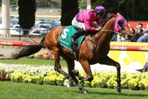 Soul Patch, above, will now head towards the Victoria Derby after winning the Drummond Golf Vase at The Valley. Photo by Ultimate Racing Photos.