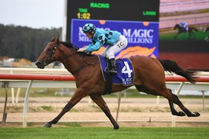 Farnan, above, is the early favourite for the 2020 Magic Millions 2yo Classic at the Gold Coast. Photo by Steve Hart. 