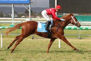 Instant Celebrity (Photo: Jenny Barnes) - HorseRacing.com.au