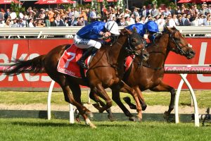Benbatl held-off stablemate Blair House to score a tough win in the 2018 Ladbrokes Stakes. Photo by: Ultimate Racing Photos