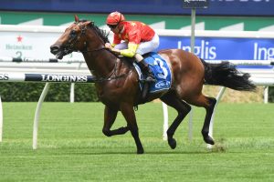 Rulership, above, will head to Melbourne for the 2020 Group 1 Blue Diamond Stakes at Caulfield. Photo by Steve Hart. 