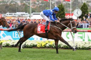 Winx Horse. (Photo: Ultimate Racing Photos) - HorseRacing.com.au