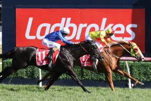 Mighty Boss recorded an upset win in the 2017 Ladbrokes Caulfield Guineas. Photo by: Ultimate Racing Photos