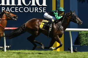 Jockey Katelyn Mallyon, above on sprinter Super Cash, will ride Sir Isaac Newton in the Caulfield Cup. Photo by Ultimate Racing Photos. 