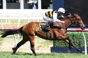 Aloisia scored an upset win in the 2017 Thousand Guineas. Photo by: Ultimate Racing Photos