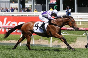 Cool Passion produced a career best performance to win the Cape Grim Beef Steaks at Caulfield this afternoon. Photo by: Ultimate Racing Photos