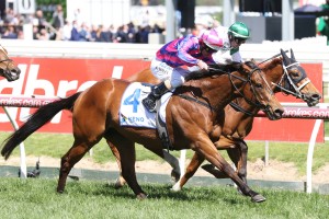 Fast 'N' Rocking recorded a fighting win over Religify in the Weekend Hussler Stakes. Photo by: Ultimate Racing Photos