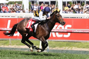 Lord Fandango stamped himself as a Caulfield Cup contender with his win in the Ladbrokes Herbert Power Stakes. Photo by: Ultimate Racing Photos