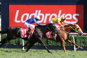 Mighty Boss won the 2017 Ladbrokes Caulfield Guineas at monster odds. Photo by: Ultimate Racing Photos