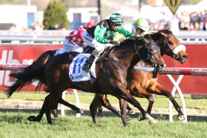 Super Cash returned to the races with a win in the Schillaci Stakes. Photo by: Ultimate Racing Photos