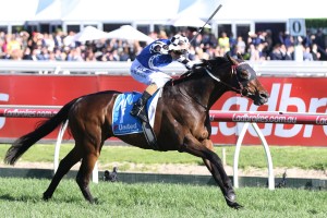 Tosen Stardom claimed a very lucrative Group 1 win in the Toorak Handicap. Photo by: Ultimate Racing Photos